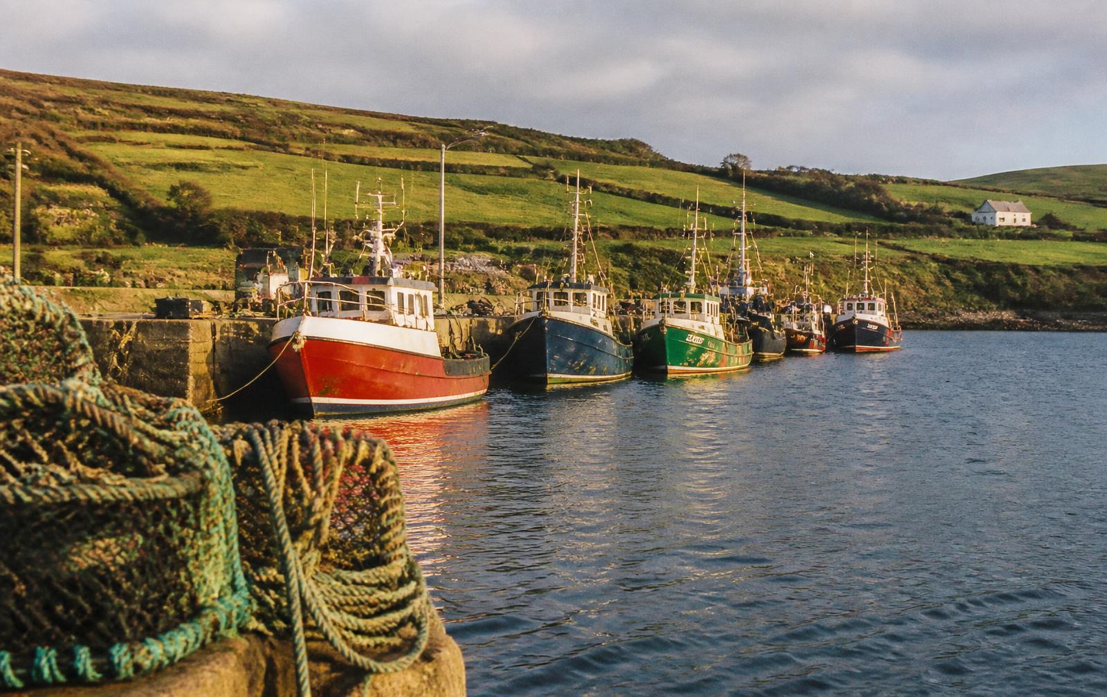 Small fishing boats moored against a stone quay in a south-western harbour at golden hour, with green farmland behind.