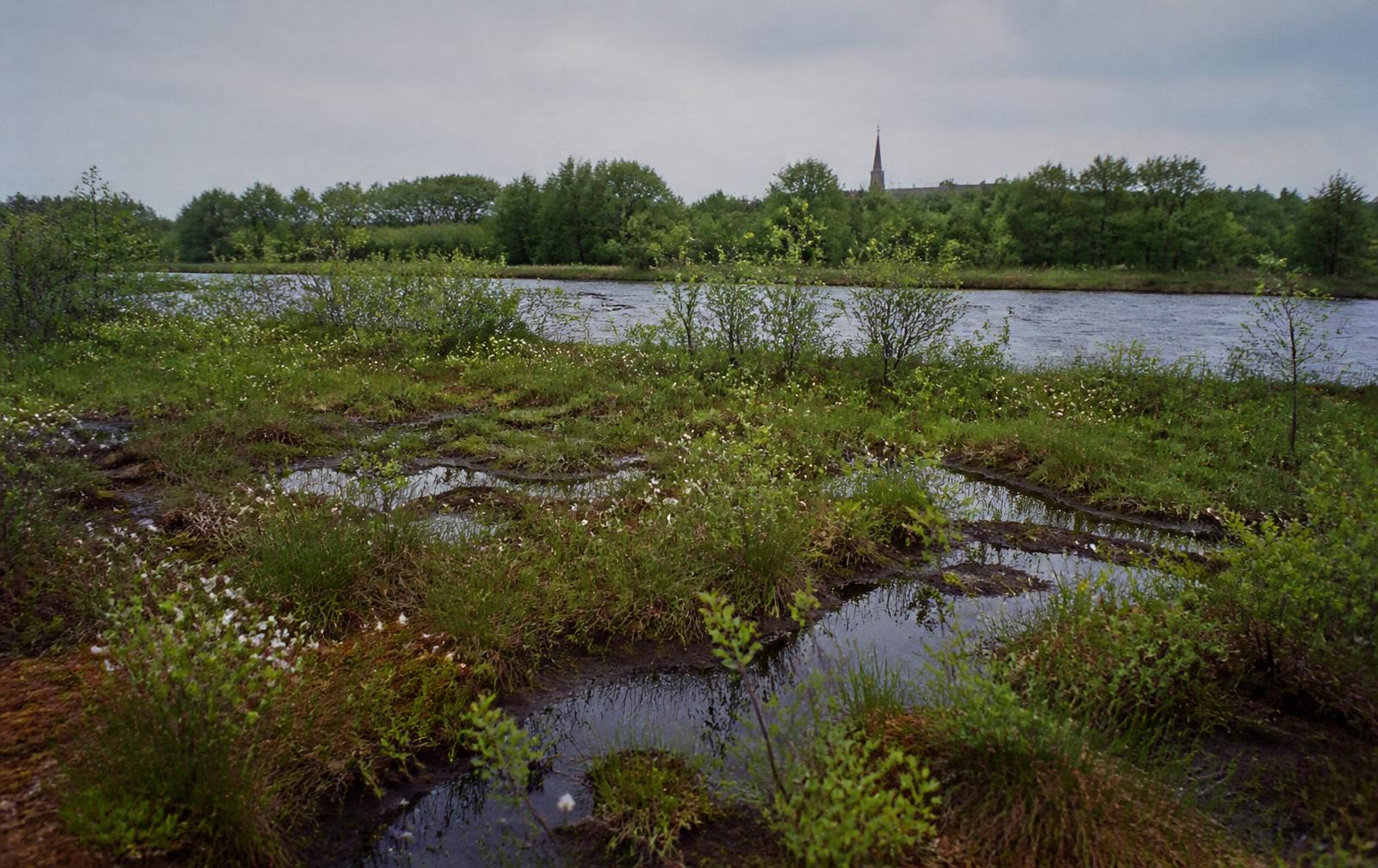A midlands raised bog rewetting into pools, with birch scrub, a slow river and a distant church spire.